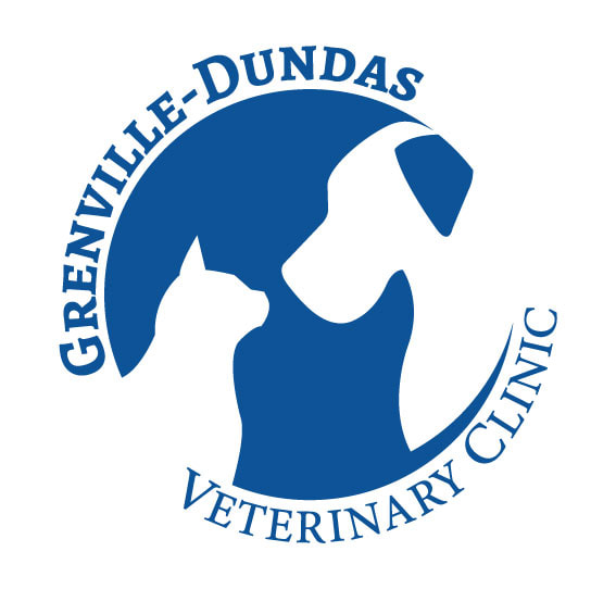 Grenville-Dundas Veterinary Clinic - Grenville-Dundas Veterinary Clinic :  Kemptville Vet | Animal Hospital | Home